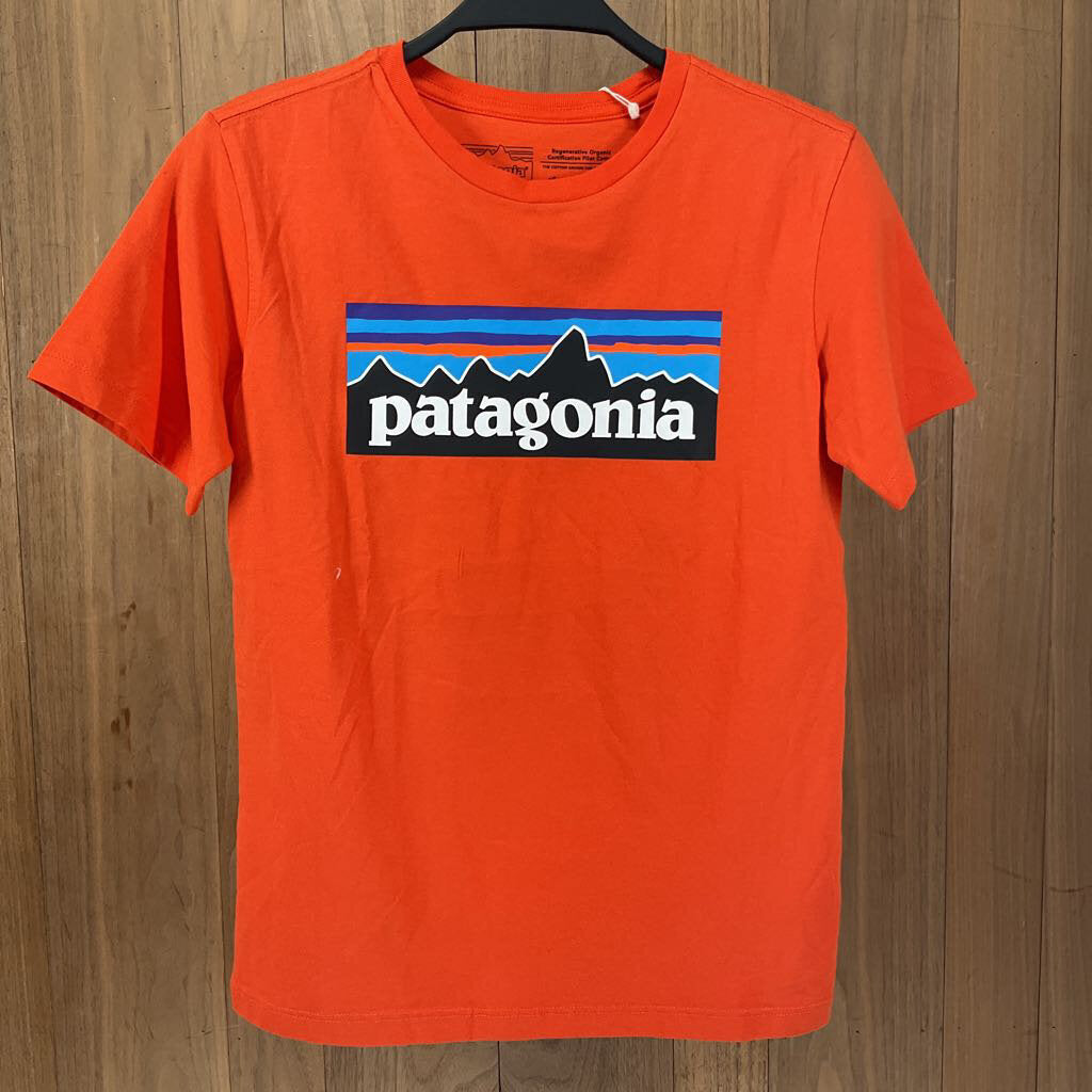 patagonia rn 51884 shirt