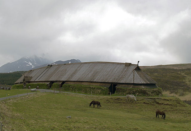 Maisons vikings : l’héritage de l’architecture scandinave | Viking Héritage