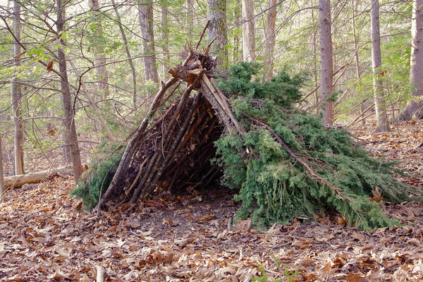 Primitive Bushcraft Survival Camp