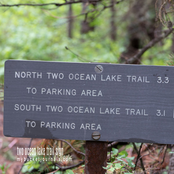 wooden hiking trail sign with green vegetation in the background