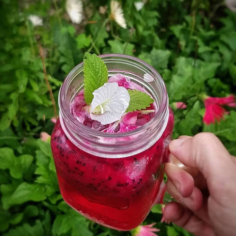 purple dragon fruit strawberry gum cocktail