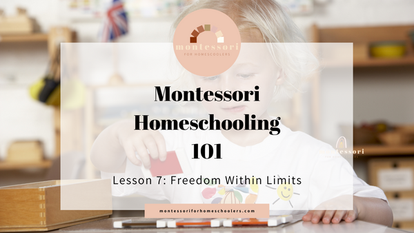 Montessori Homeschooling 101: Freedom Within Limits