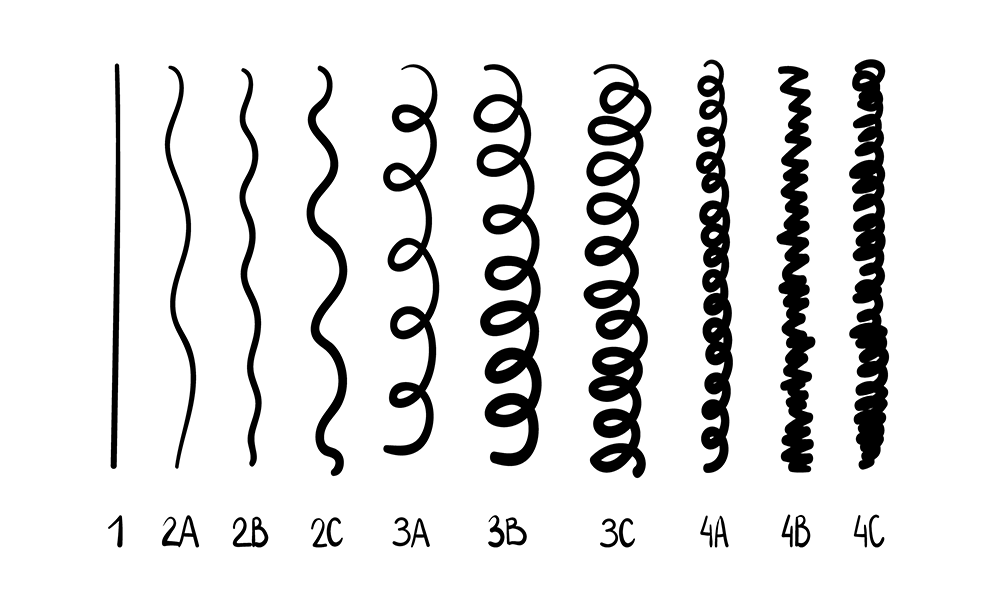 Curl Pattern Chart