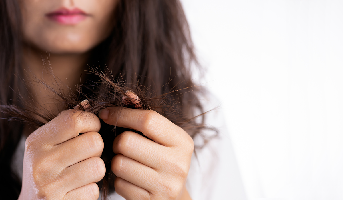 How Often Should You Cut Your Hair Length Texture Treatment More