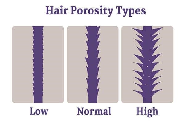 hair porosity types