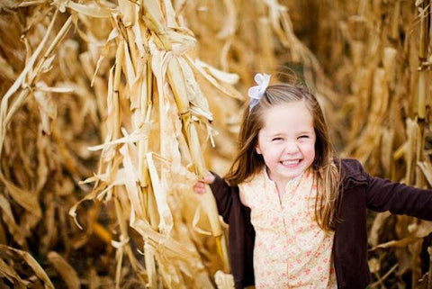 The History of Corn Mazes