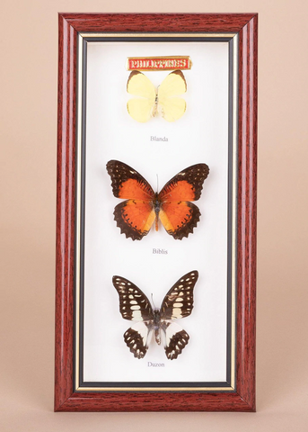 3 Pieces Framed Butterflies
