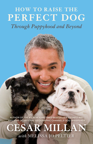Book cover of How To Raise The Perfect Dog by Cesar Milan