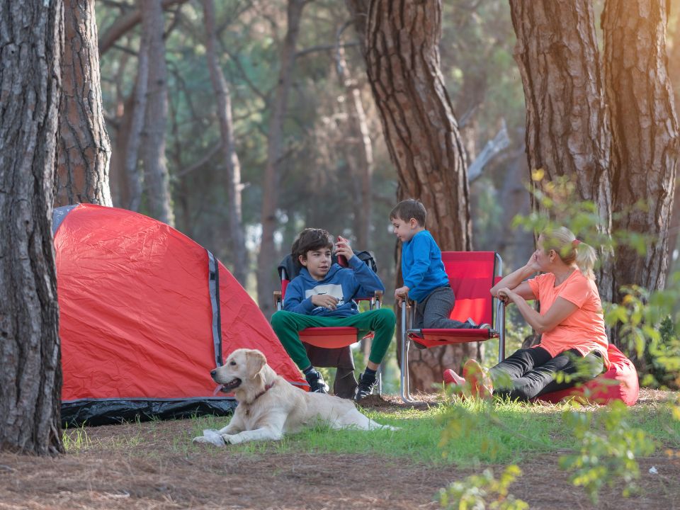 Family camping with their dog