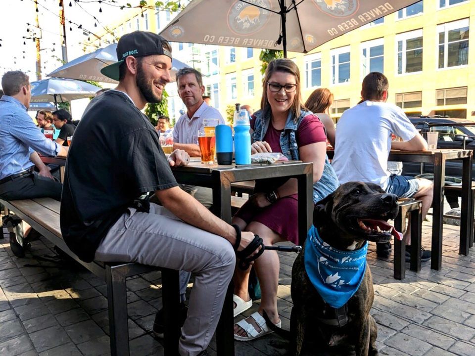 Couple having dinner at outdoor restaurant with their dog