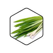 Lemongrass Organic Essential Oil