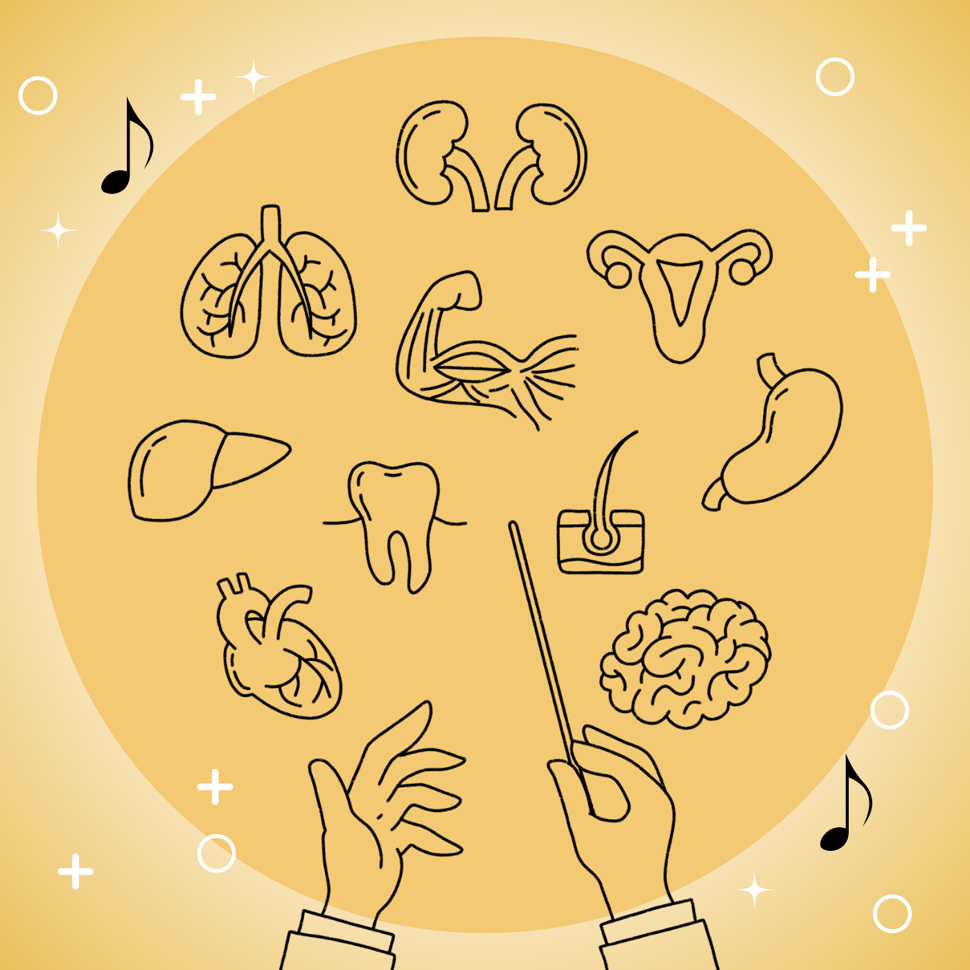  Endocannabinoid System