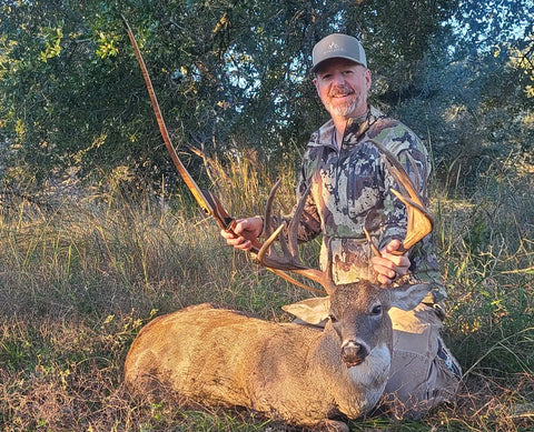 mature whitetail deer