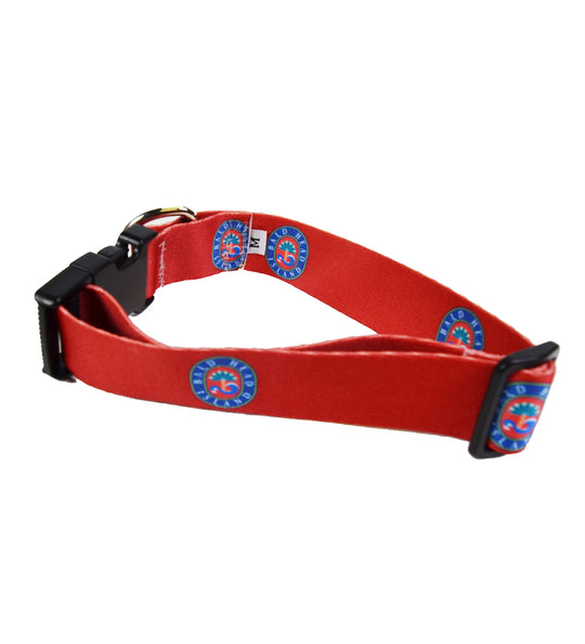 Stl Blues Dog Collar 