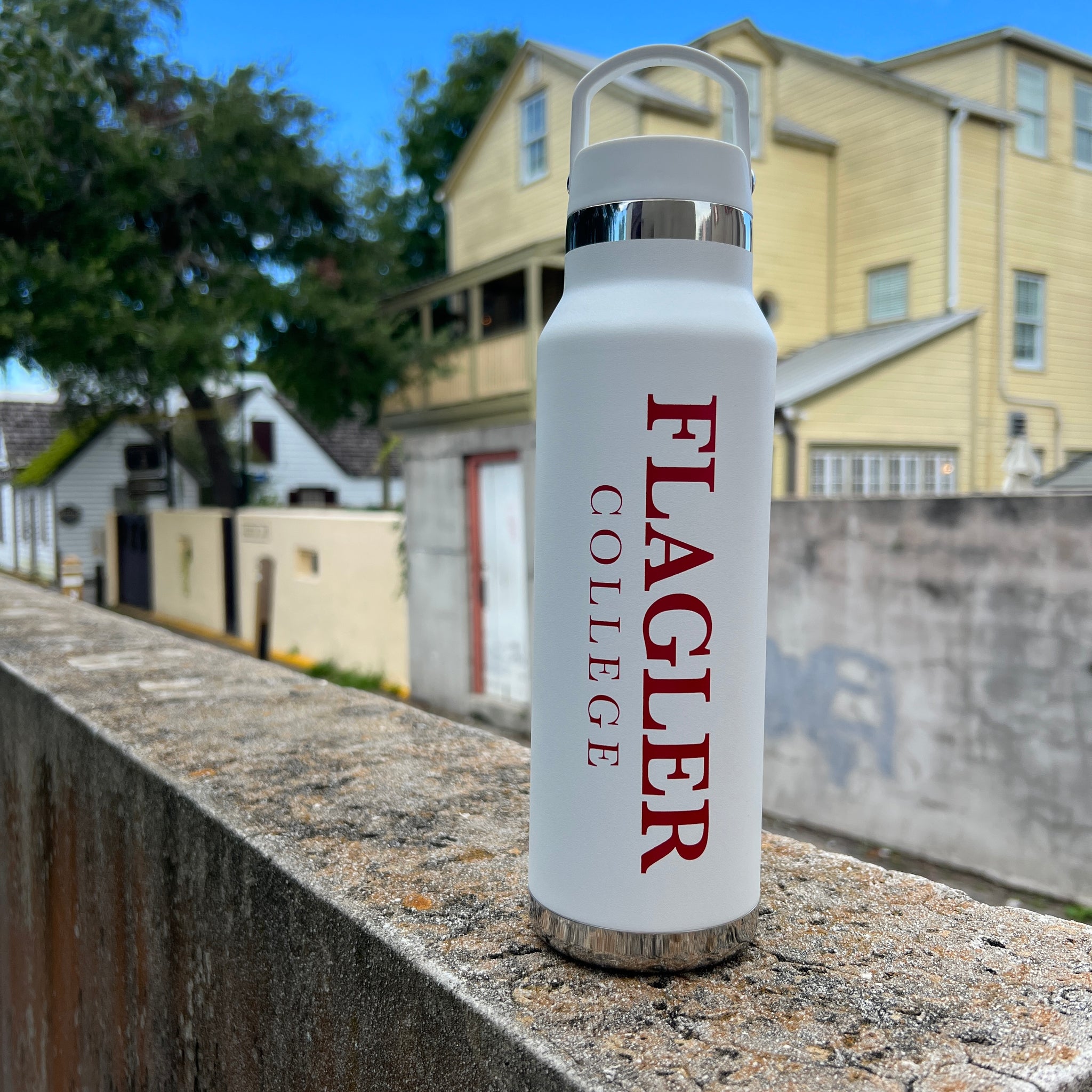 Stainless Steel Water Bottle | William Howard Taft University