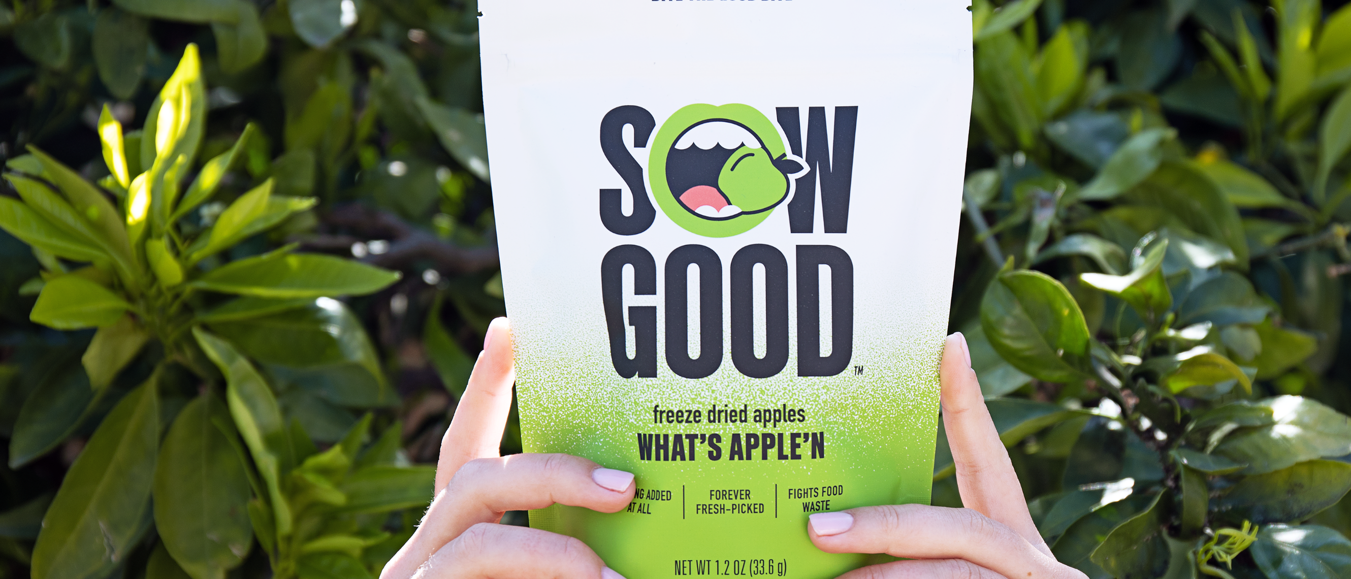 Sow Good freeze dried apples inside the Oh Goodie snack box subscription