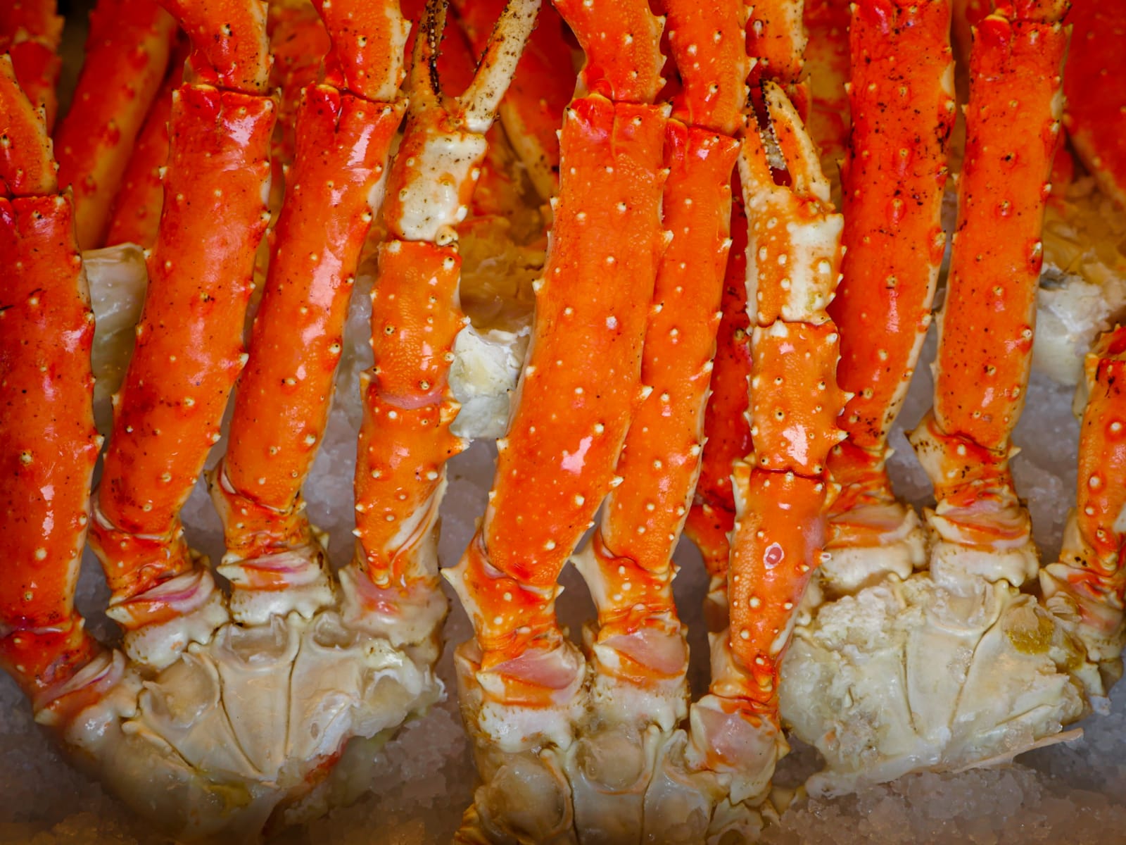 Buy Fresh Alaskan King Crab Online Billy's Stone Crab Hollywood FL