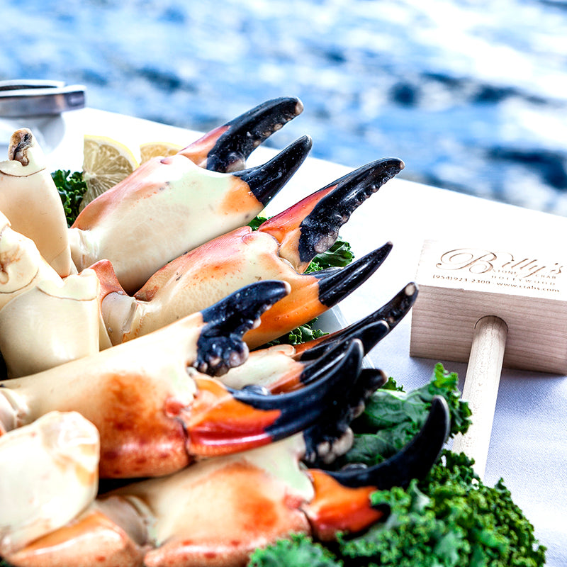 Play of Florida Stone Crab Claws on next to a Billy Stone Crab Mallet