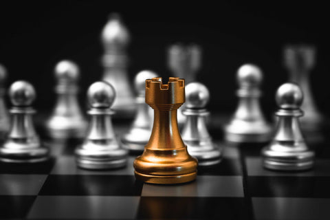 Chess Pieces Names In Hindi and English, What Are The Chess Pieces?