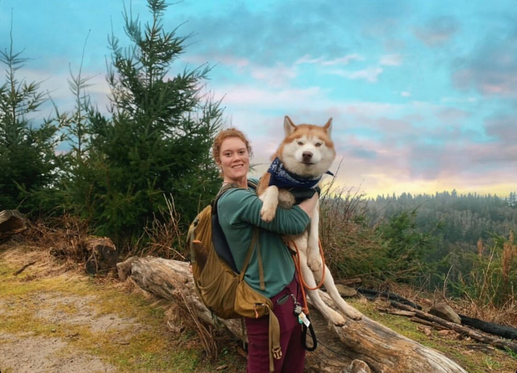 hiking with dogs