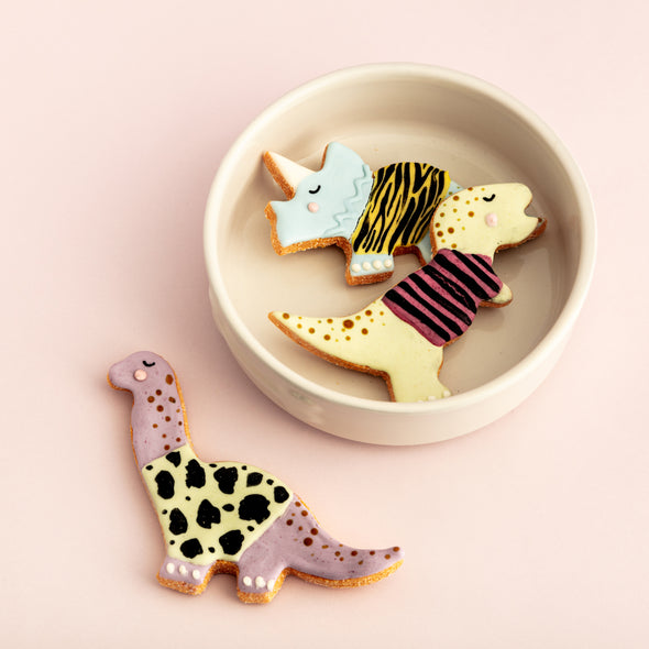 Designer Dinosaurs Iced Dog Biscuit Set