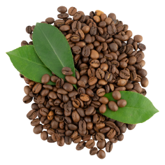 A pile of coffee beans with green leaves.