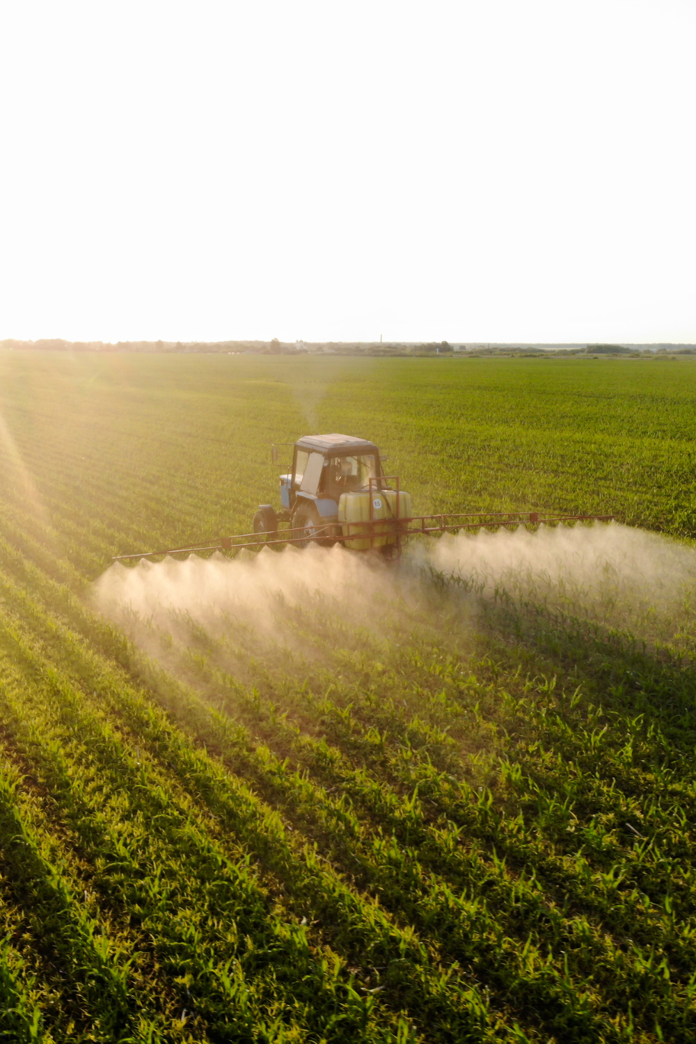 atrazine pesticide spray on crop field