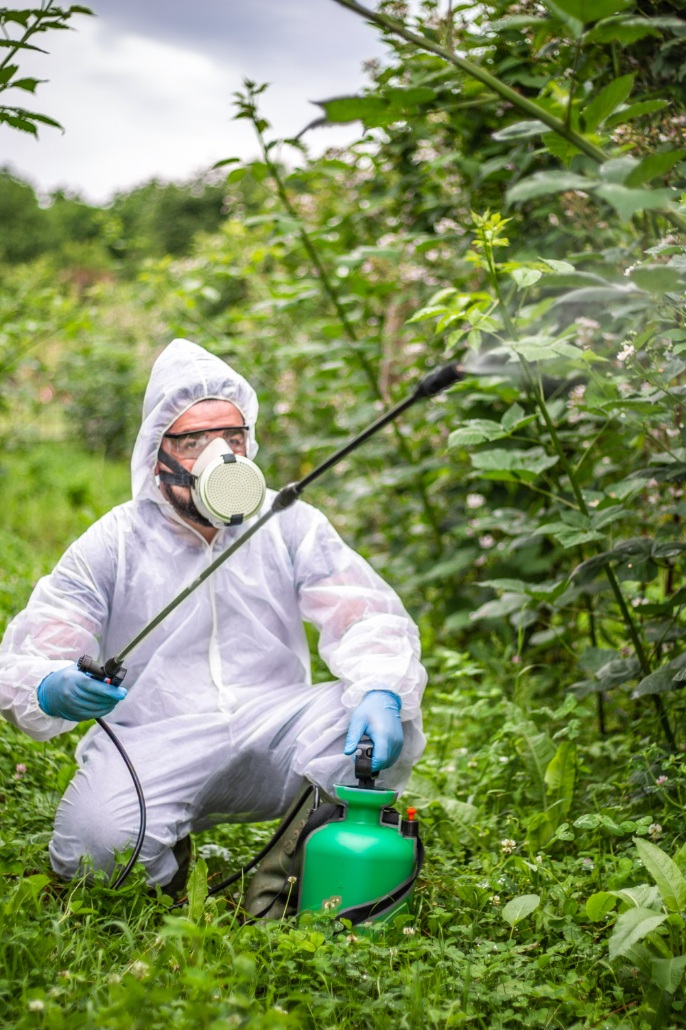 man spraying glyphosate pesticide on plants