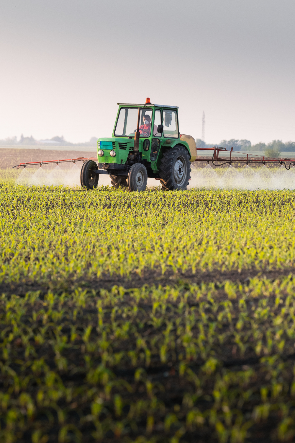 atrazine pesticide spray on corn field