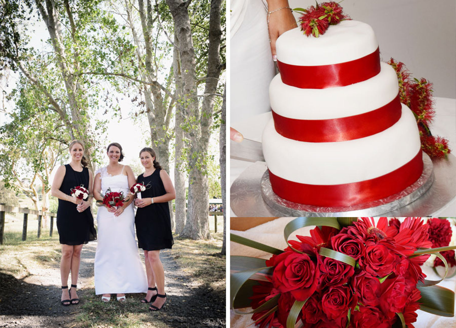 bride with bridesmaids beside a red and white wedding cake