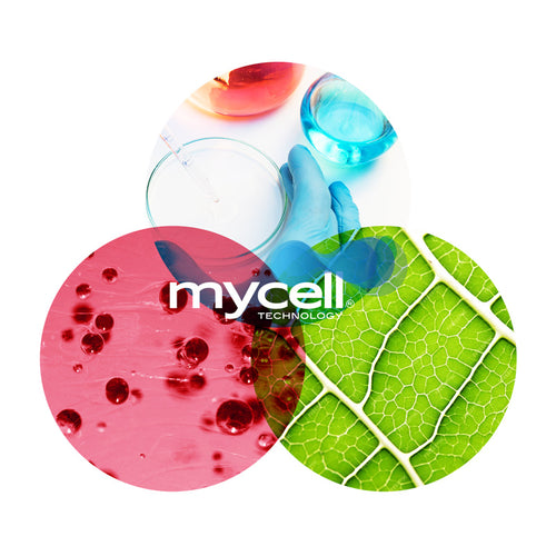 MyCell Technology is de schakel tussen natuur, technologie en pharma