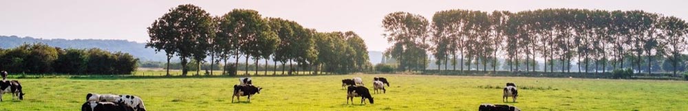 buiten in de natuur tijd doorbrengen voor goede gezondheid