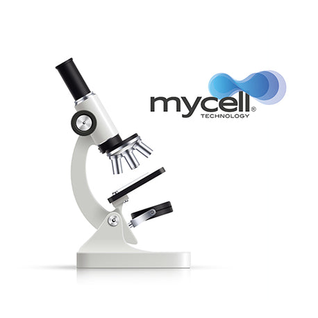 wetenschappelijk-onderzoek-onderbouwt-de-werking-van-mycell-technology.jpg__PID:48f46bc1-01a3-46bf-a579-c24cac6b55e1