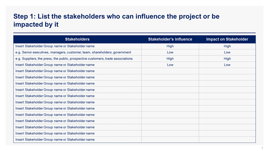 Stakeholder Engagement Strategy