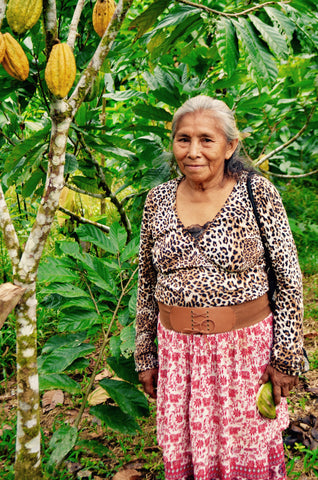 cacao producer 