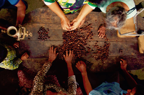 community sorting beans