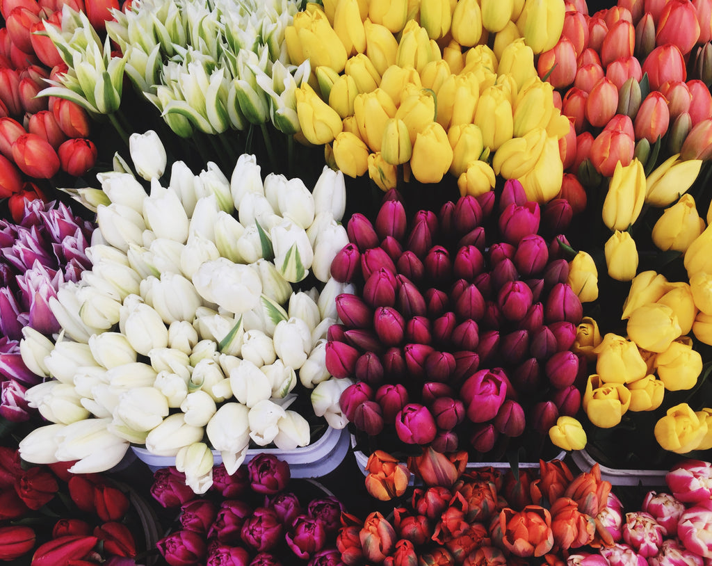 pike place market flowers