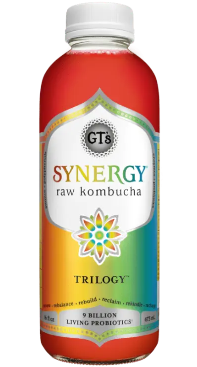 Trilogy SYNERGY Raw Kombucha bottle