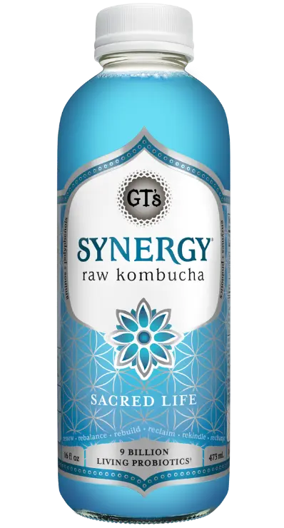 Sacred Life SYNERGY Raw Kombucha bottle