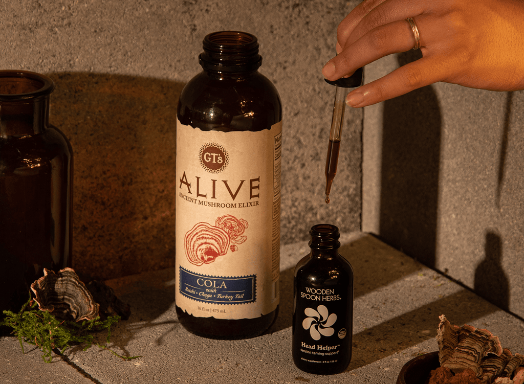 GT's ALIVE Cola and Wooden Spoon Herbs Tincture