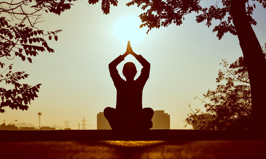 Person sitting under tree meditating in the sun