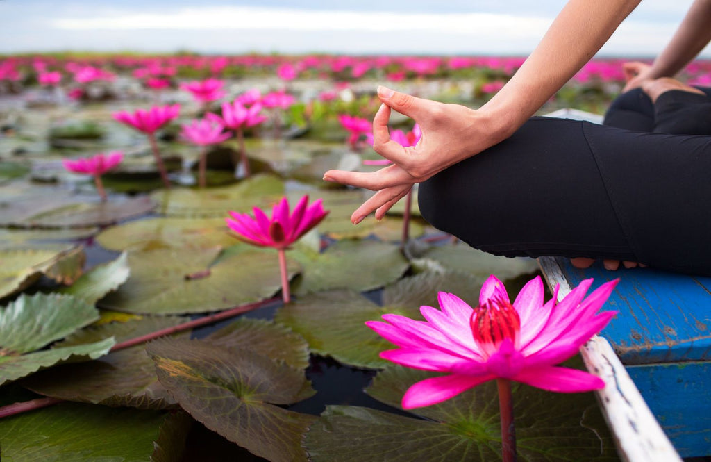 Person meditating on pond with lotus blooms