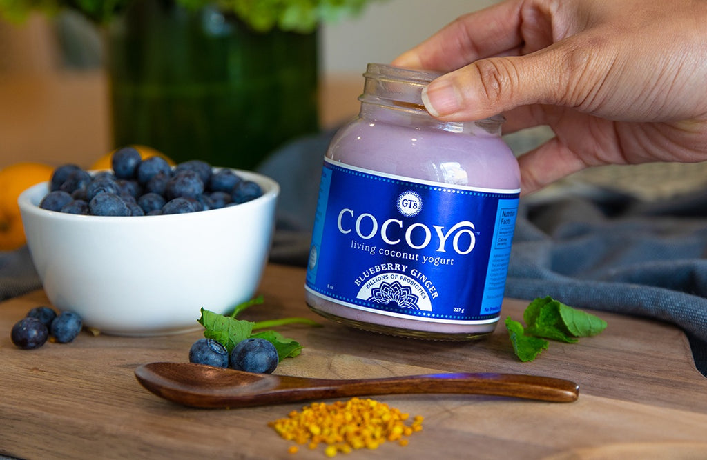 GT's COCOYO Blueberry Ginger with bowl of blueberries