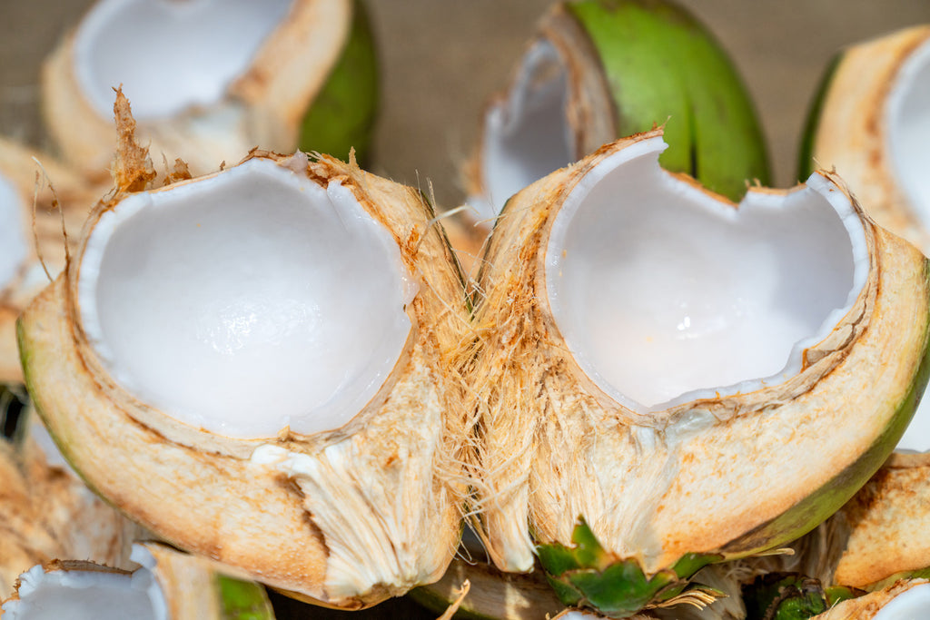 Closeup of split coconut