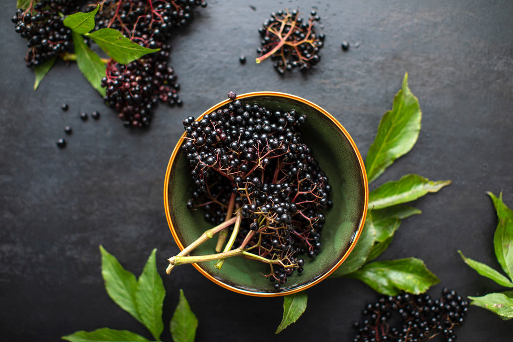 Closeup of elderberries in a bowl