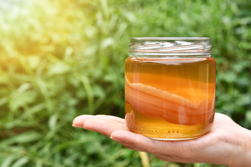 Person holding jar of kombucha with SCOBY