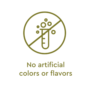 No Artificial Colors or Flavors Icon