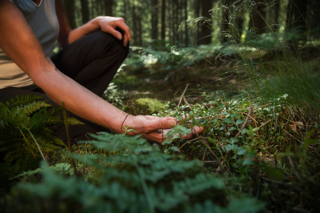 Closeup of person kneeling and holding plant in forest