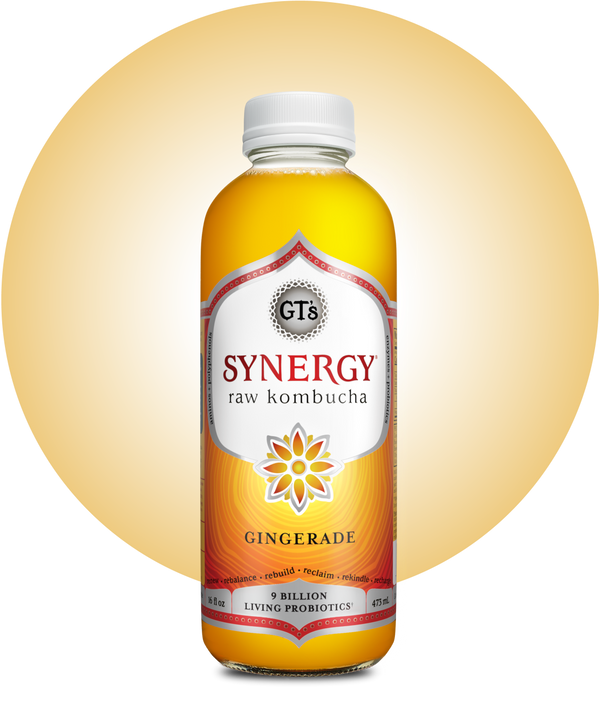 synergy raw kombucha gingerade