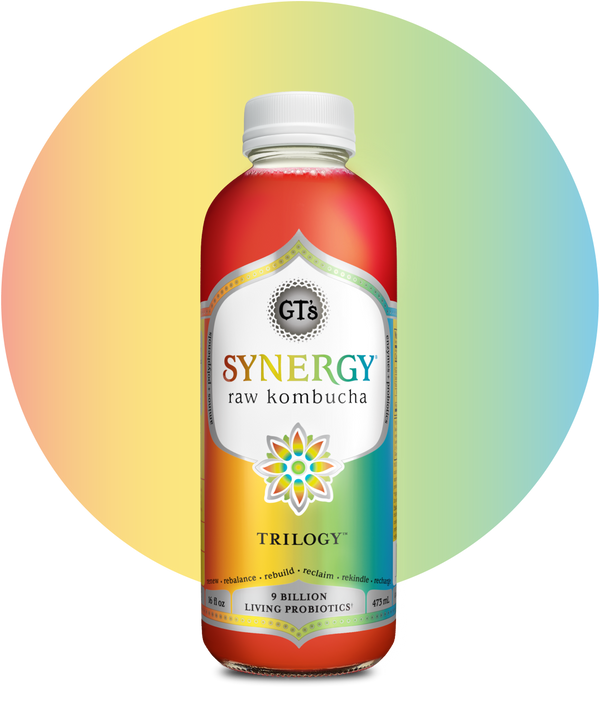 synergy raw kombucha drink benefits